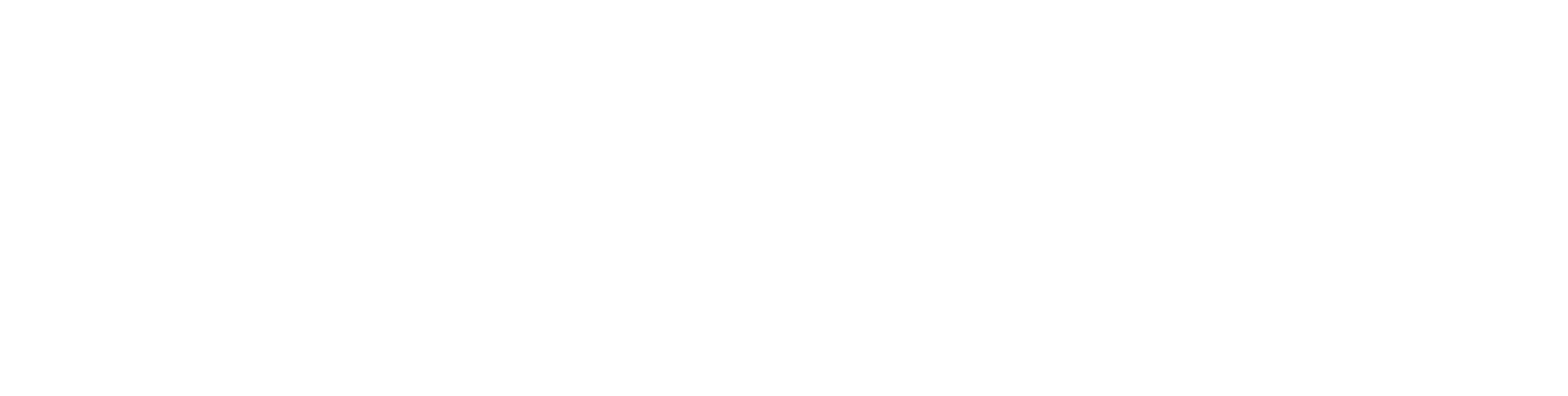 Carl Vinson Institute of Government Logo