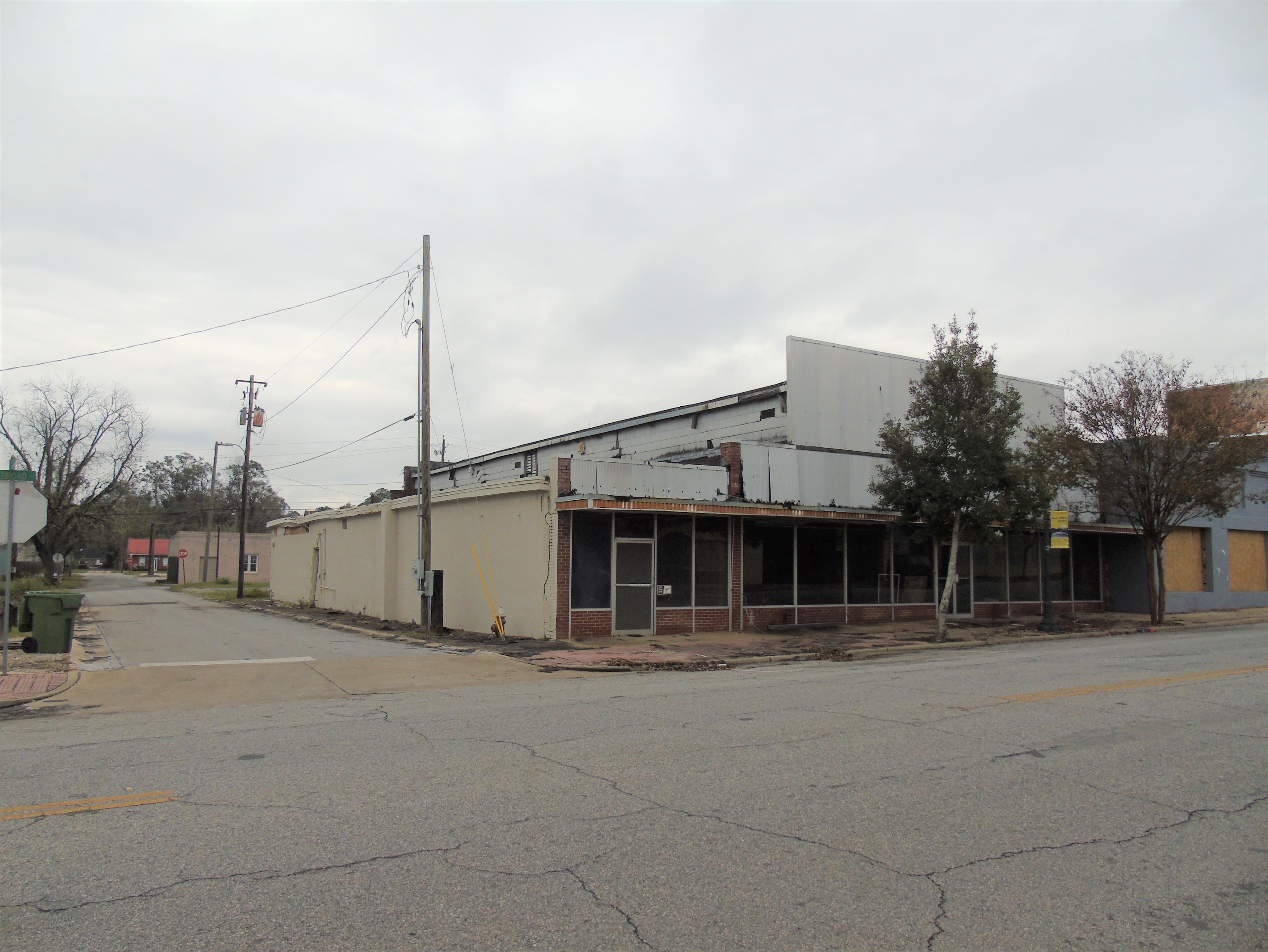 A city path lined with blossom-filled trees. 