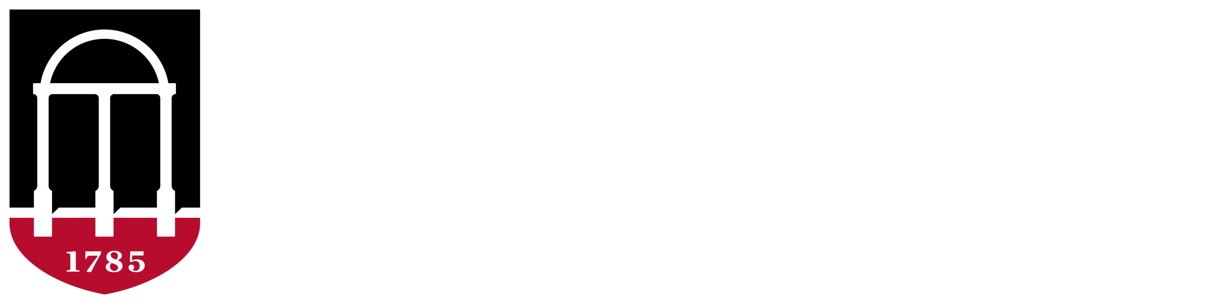University of Georgia Carl Vinson Institute of Government logo